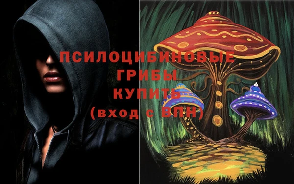 не бодяженный Белокуриха