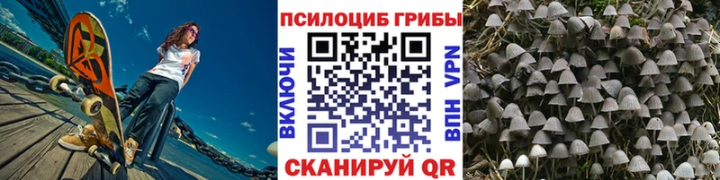 блэк спрут рабочий сайт  даркнет клад  Галлюциногенные грибы Cubensis  Гулькевичи 